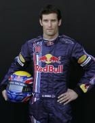 红牛车队车手——韦伯